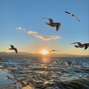 日本毛茸茸少女喷水
